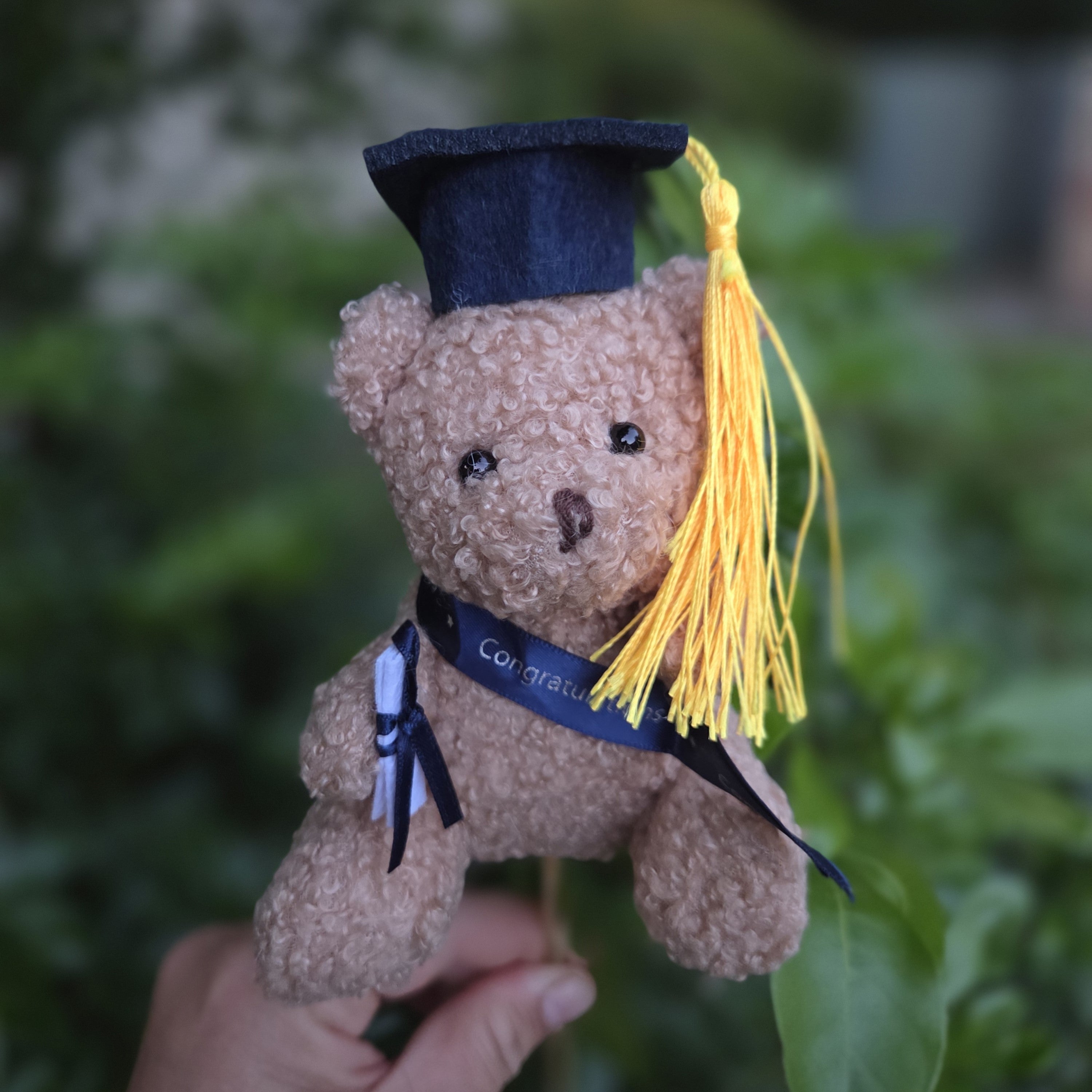 Graduation Teddy Bear