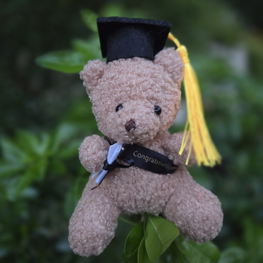 Graduation Teddy Bear