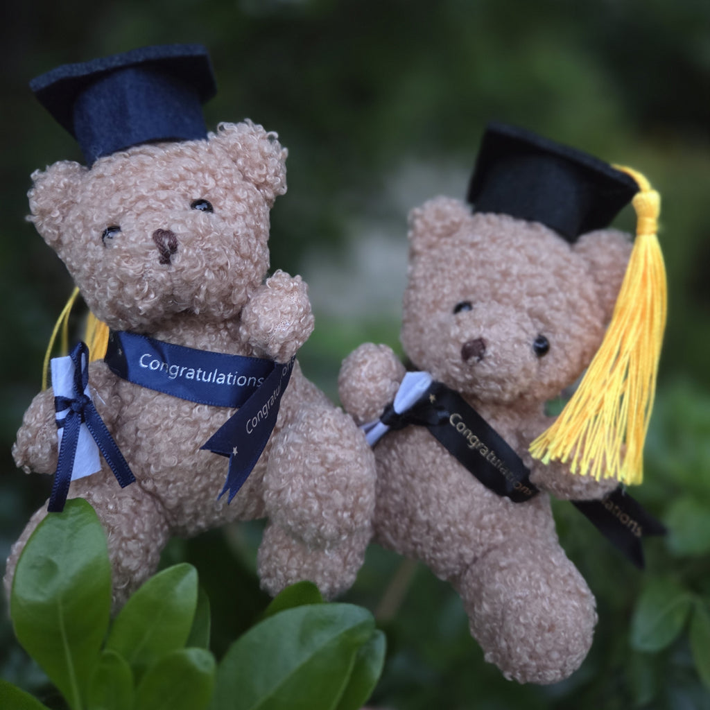 Graduation Teddy Bear