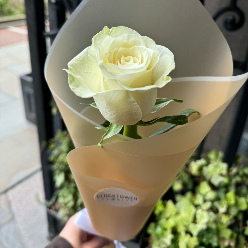 Single Rose Roses Single Rose | Clocktower Florist