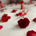Rose Petals